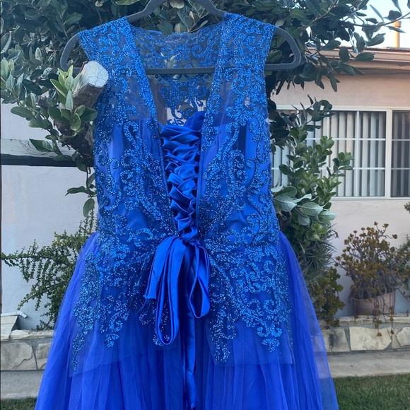 Royal Blue Lace & Tulle Floor-Length Ball Gown with Built-In Petticoat - Picture 6 of 17